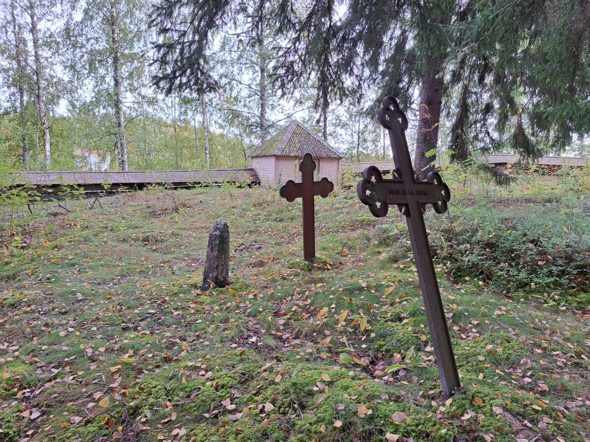 Kuusen alla on pieni hautakivi ja kaksi isoa metallista ristiä, joista toinen on vinossa.